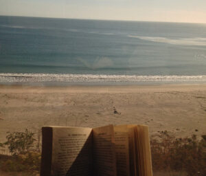 Take the opportunity to read a great book on the beach at Sea Oats.